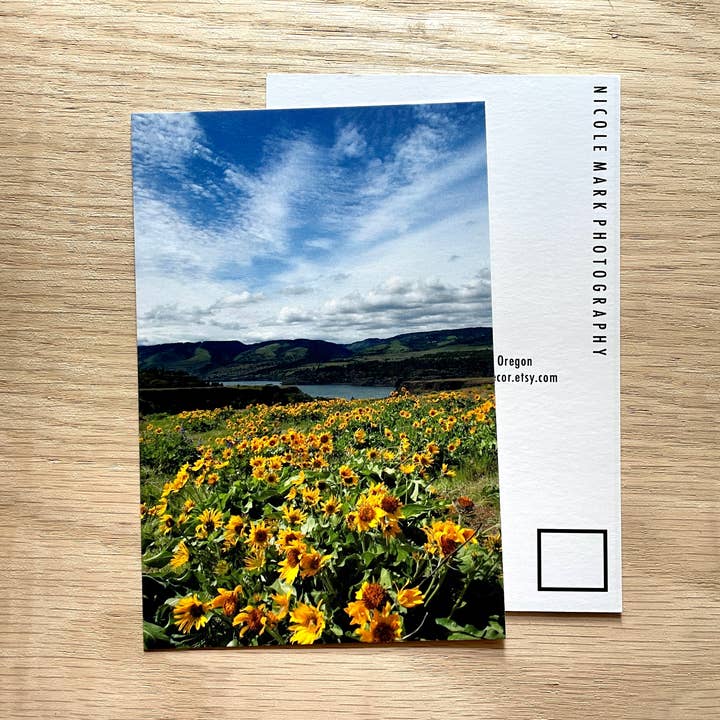 Tarjeta postal de 4 x 6 pulgadas con flores silvestres de Columbia River Gorge para venta al por mayor de Nicole Mark Photography