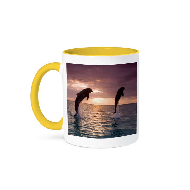 3dRose - Wholesale Coffee Mug - 3dRose, Bottlenose Dolphins, Roatan, Honduras - SA12 SWE0014 - Stuart Westmorland, Mug