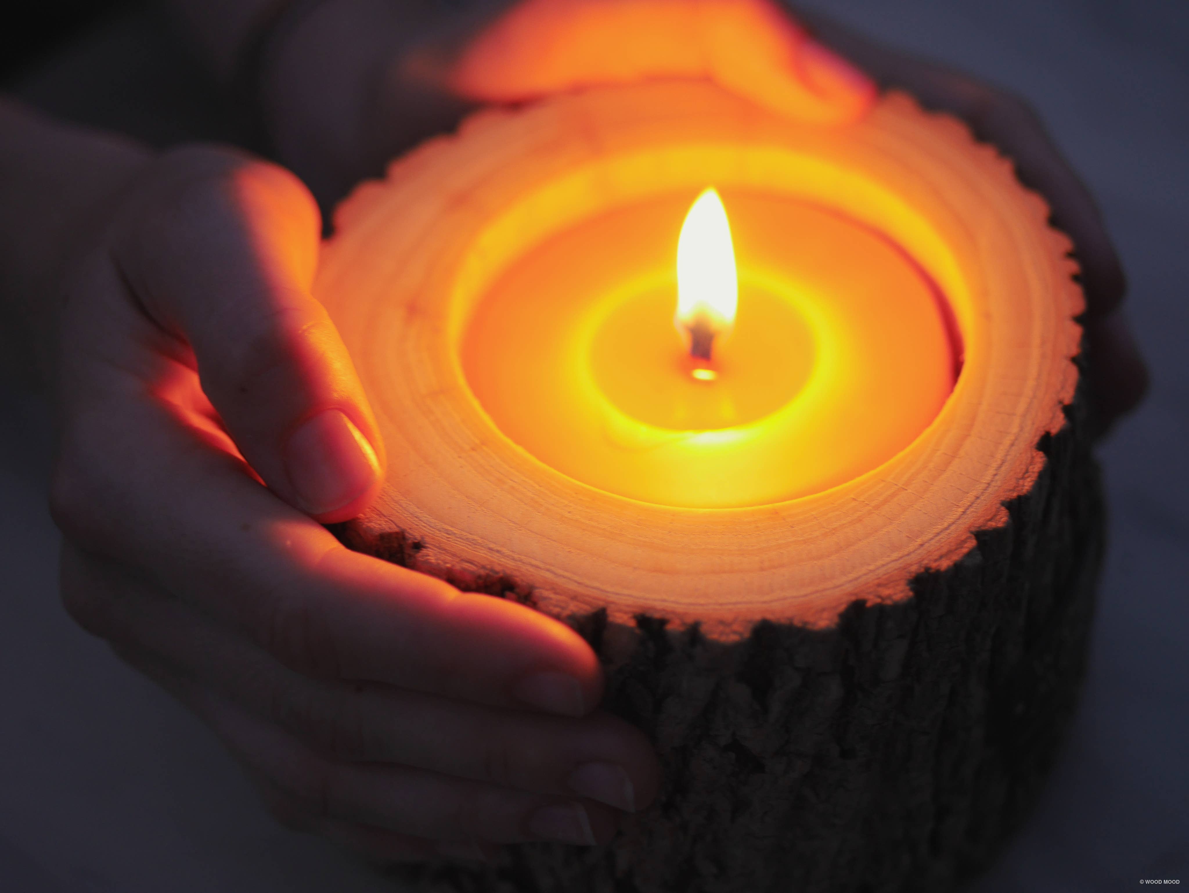 WOOD MOOD - Wholesale Jar/Filled Candle - Rocky Patio | interior candle with pine tree essential oil15