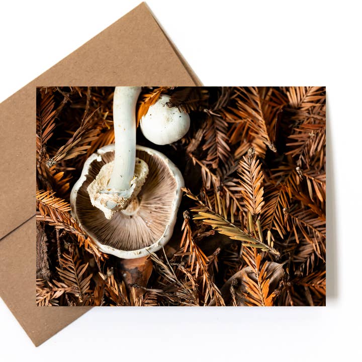 Andrea Morris Art - Wholesale Stationery/Notecard Set - Mushroom Card Variety Pack (5 Different Cards + Envelopes) 3