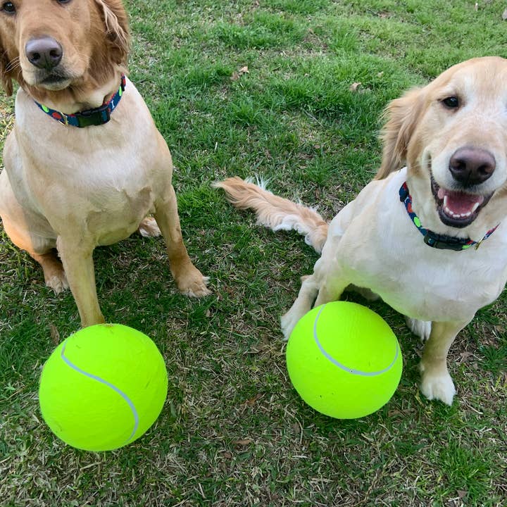 Oversized tennis ball for dogs online