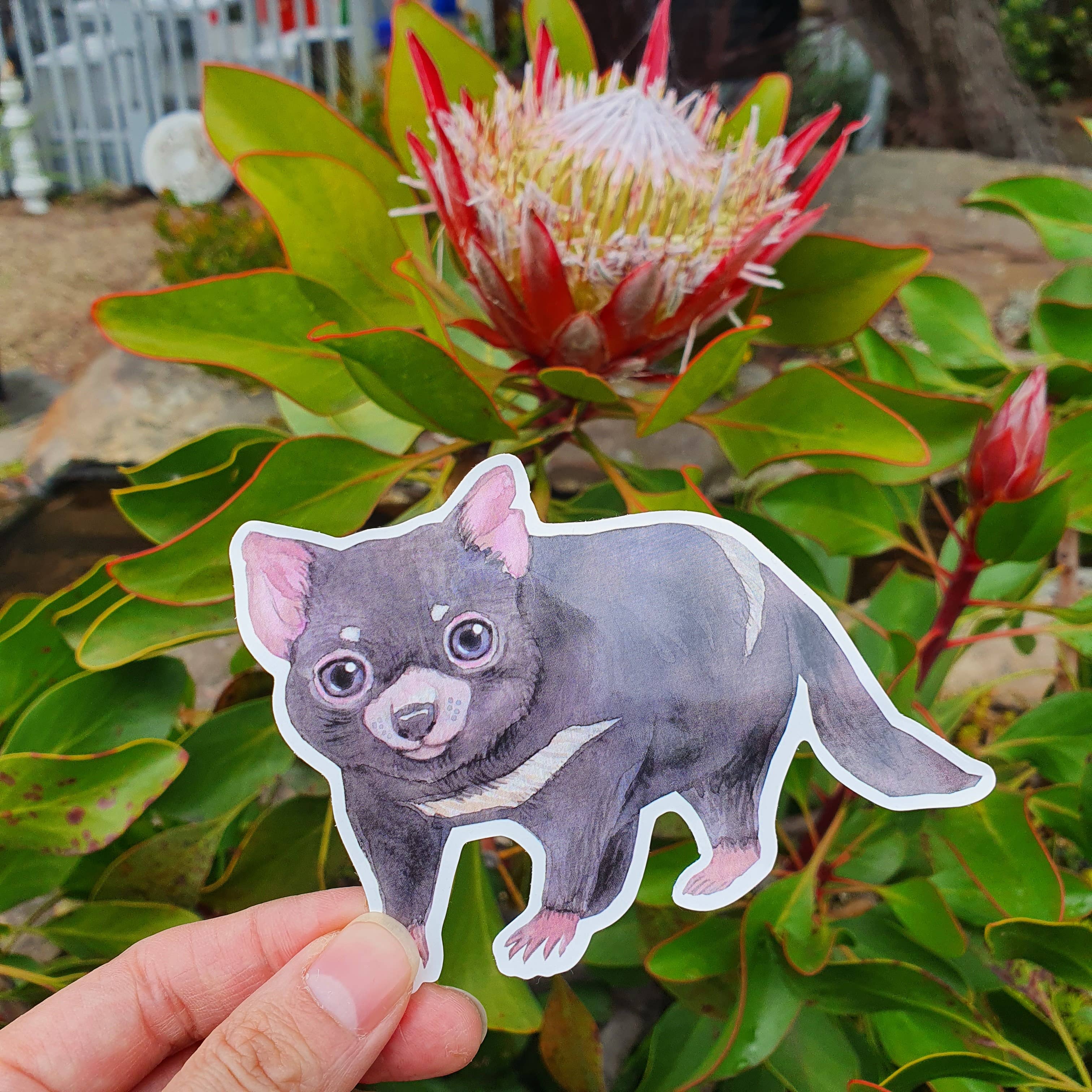Watercolour By Cat - Wholesale Sticker - Large Australian Animal Vinyl Sticker16