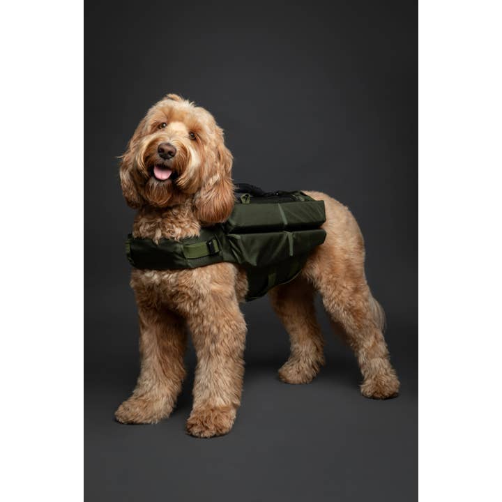 NOAH AND PAW LLC - Vente Veste – chien - Gilet de sauvetage pour chien NOAH AND PAW avec 4 mousses flottantes - Vert7