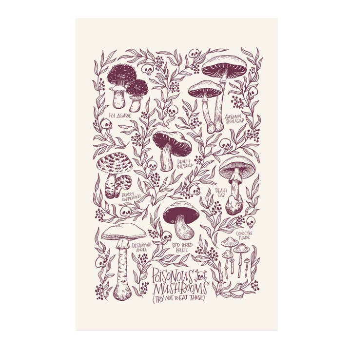 Poisonous Mushrooms Print for wholesale by Frog & Toad Press
