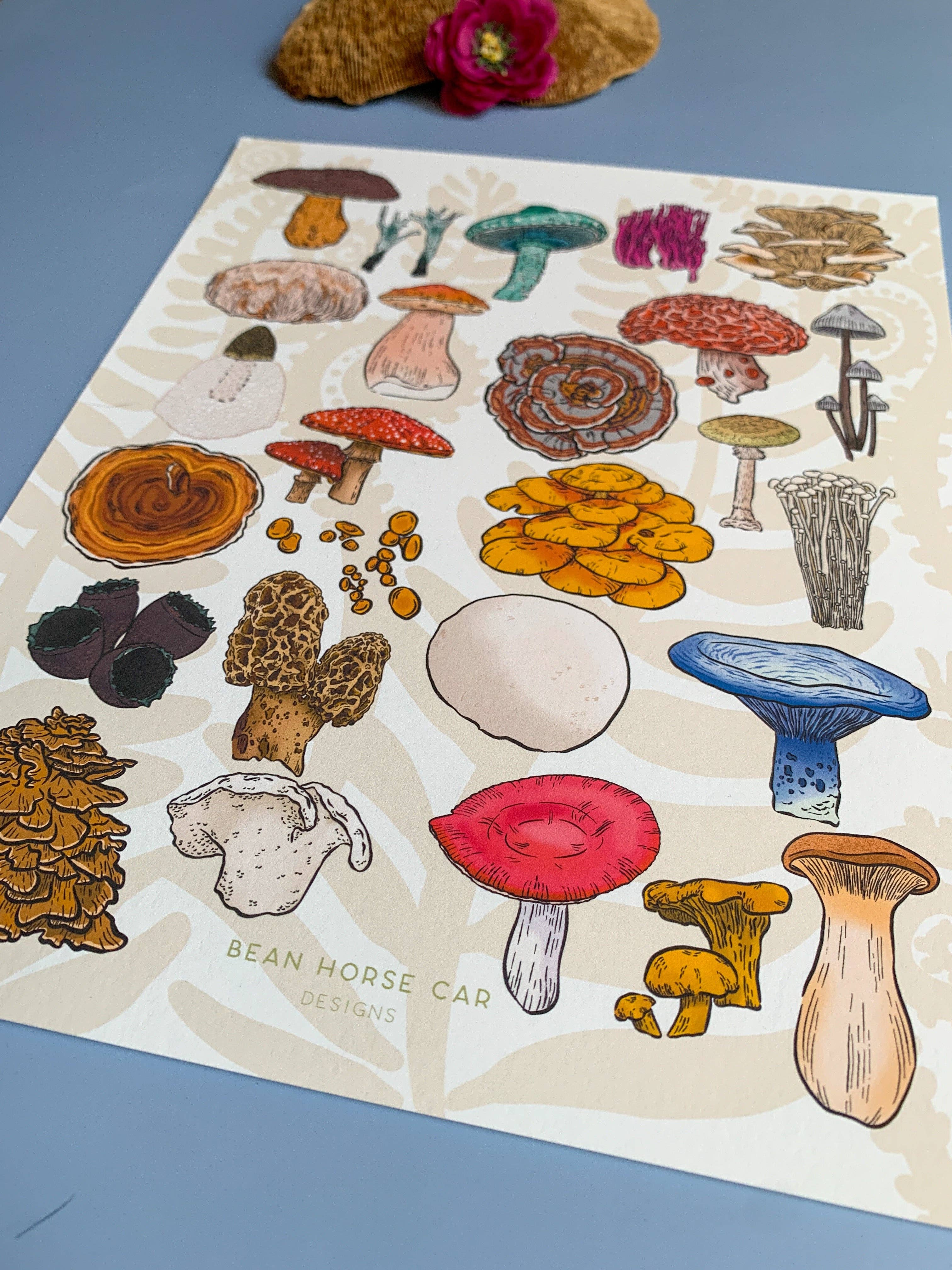 Bean Horse Car Designs - Wholesale Art Print - A to Z Mushrooms Art Print1