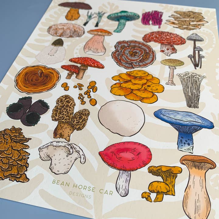 Bean Horse Car Designs - Wholesale Art Print - A to Z Mushrooms Art Print1