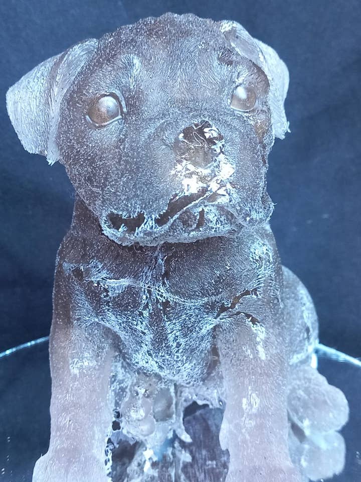 starwolf, stafford statue with LED lighting, brown for wholesale by starwolf-candles