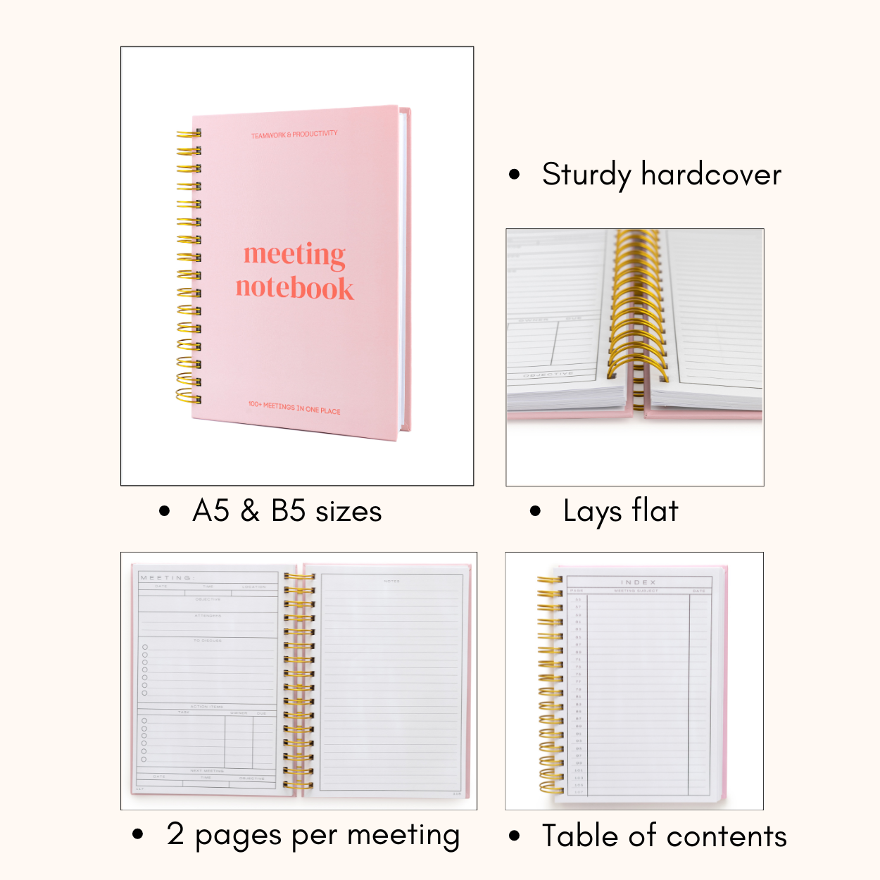 Lamare - Wholesale Notebook - Lamare Meeting Notebook – Project Planner & Work Organizer14