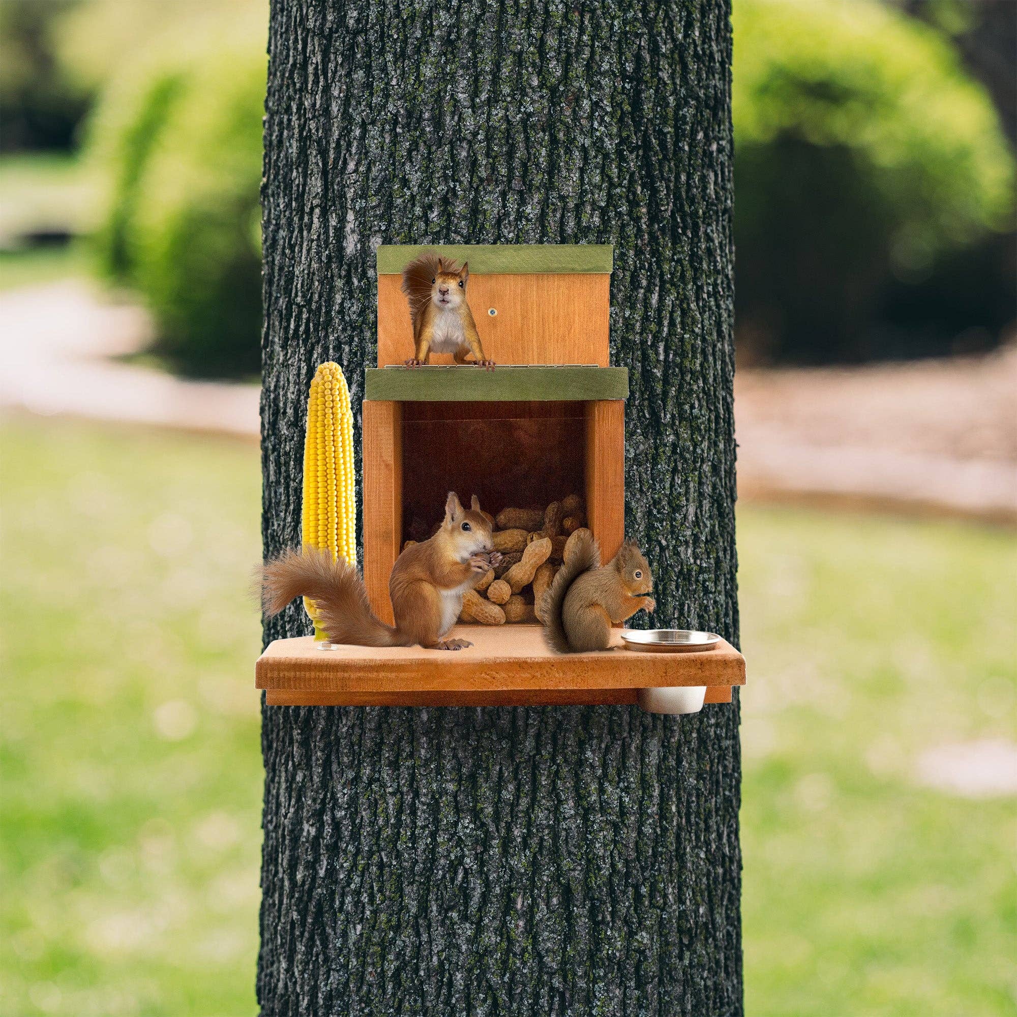 Kurated Korner – wholesale Bird feeder – Uncle Dunkel's Ultimate Squirrel Munch Box Feeder8