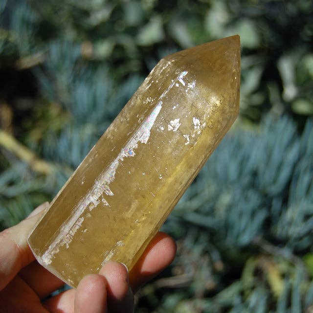 Caspar Curiosities - Wholesale Spiritual Stone/Crystal - ONE XL Pale Honey Calcite Crystal Tower, 5 to 7 inches4