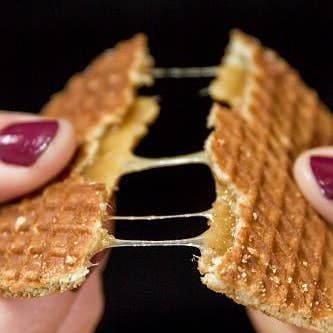 Dutch Waffle Company Stroopwafel Cookie - Wholesale Cookie - 8-Pack Traditional Caramel Stroopwafels (96ct)