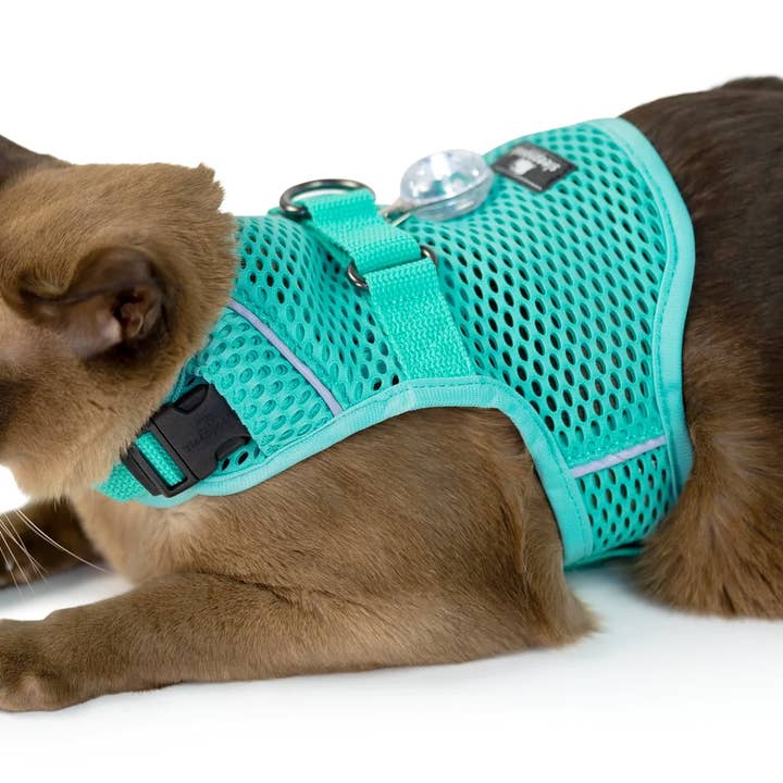 Sleepypod - Wholesale Pet Harness - Cat - Martingale Calming Cat Harness - Walking Harness (Bundle)
