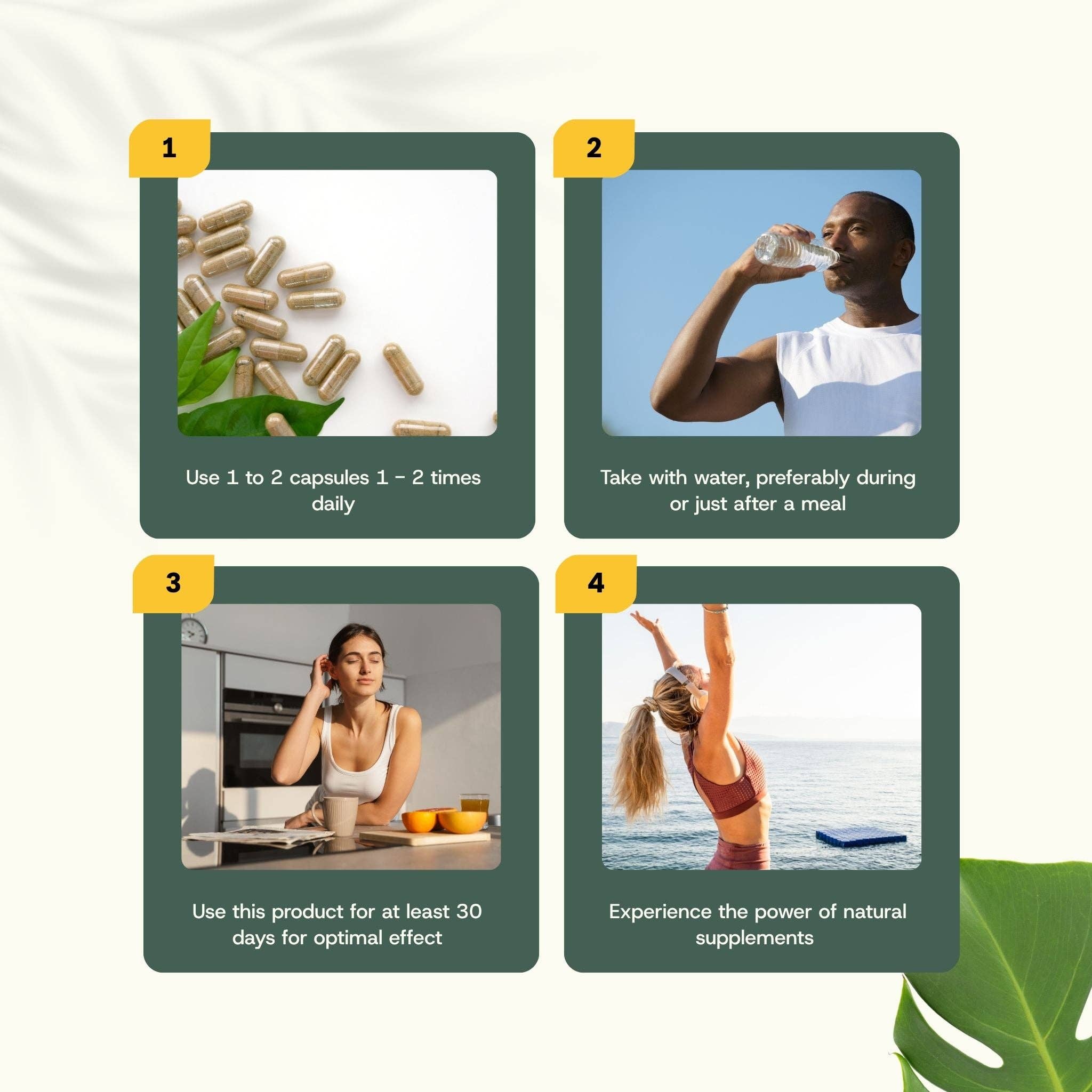 Cupplement b.v. - Wholesale Voedingssupplement/vitamine - Zeemos Capsules 500 mg Biologisch 60 Capsules7