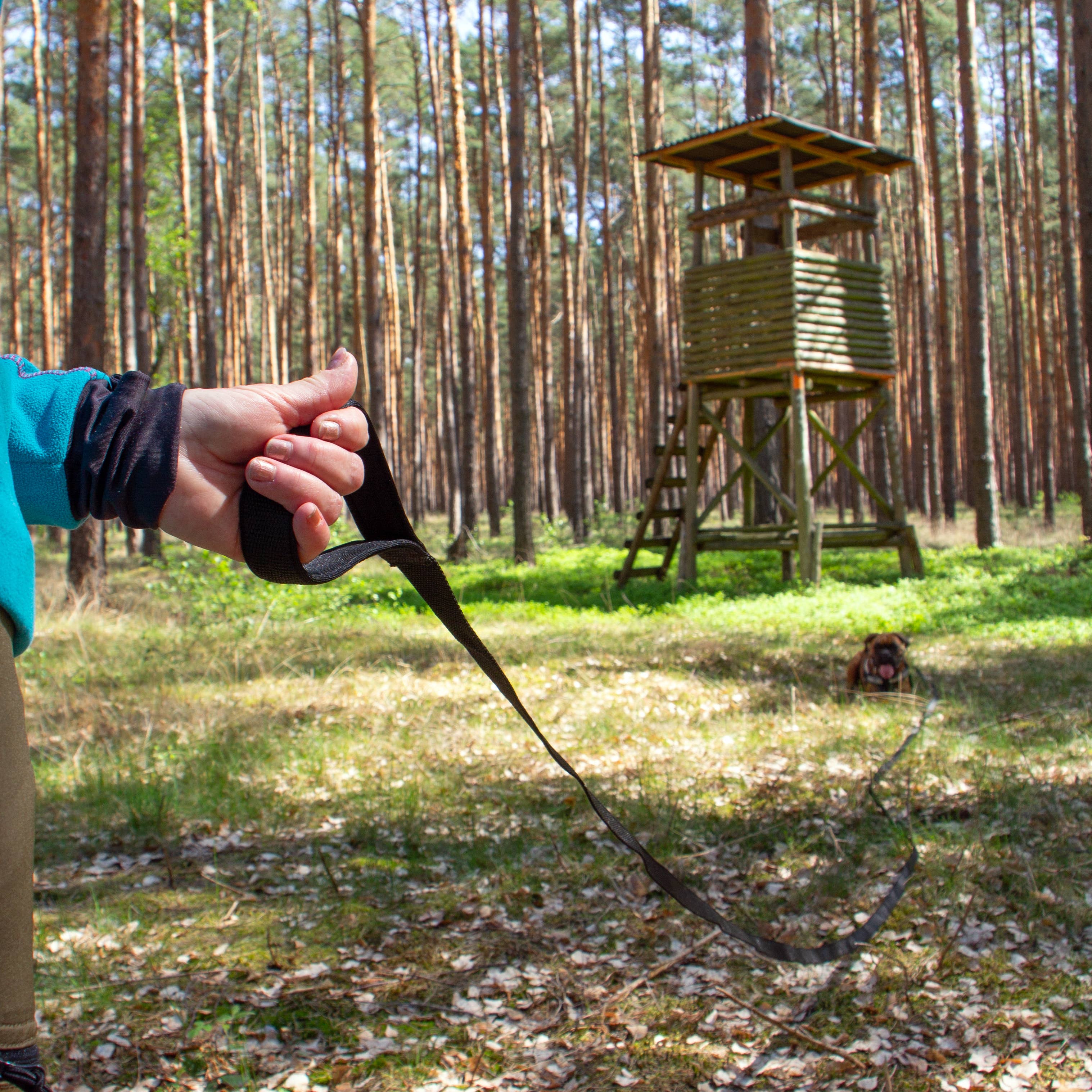 H.I.K. GmbH - Vendita all'ingrosso Guinzaglio - Cani - DOG IS KING® Fune per cani 5/10/15/20 m con blocco a torsione5