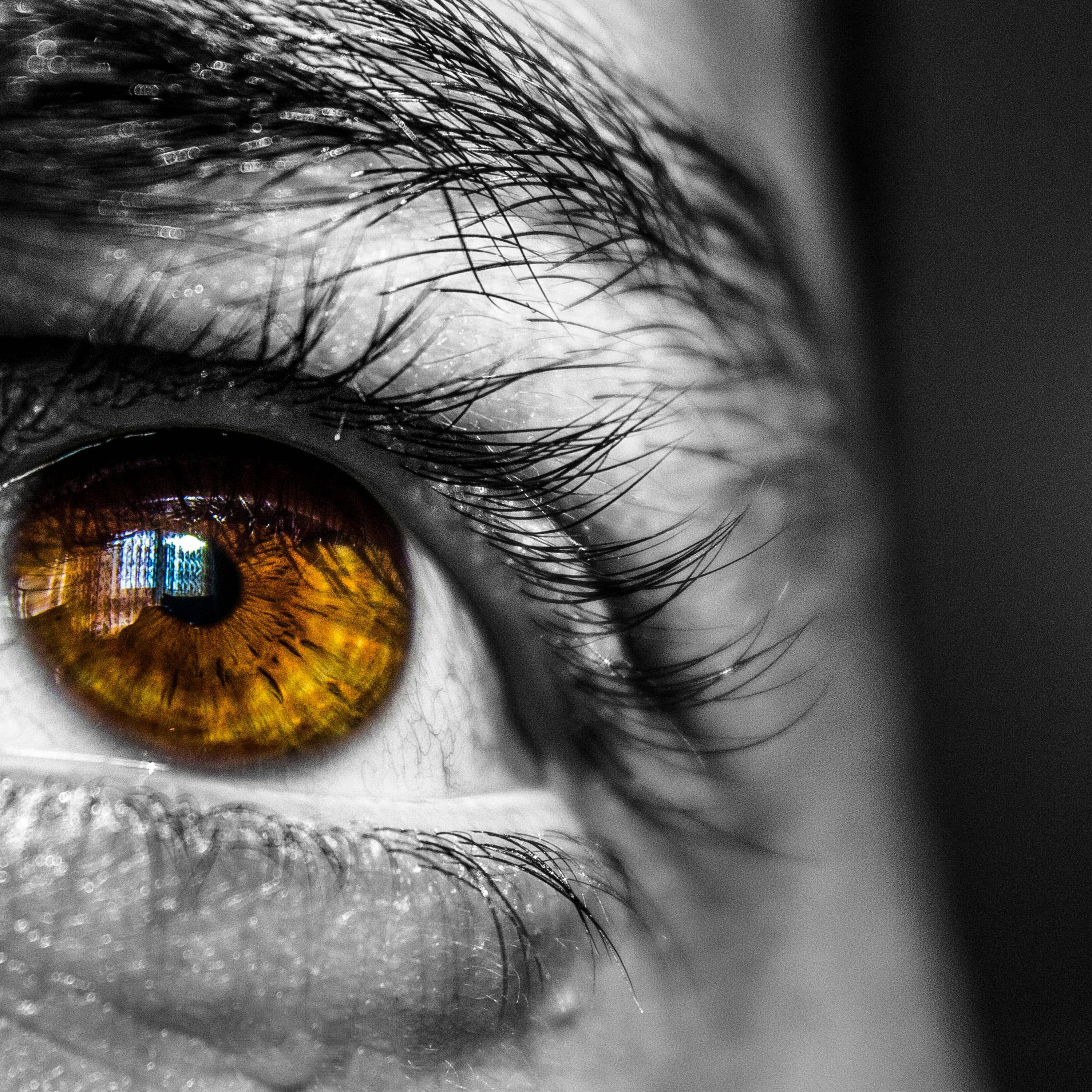 NKDAPE - Wholesale Perfume/Eau de Toilette - Amber Alchemist - 50ml1