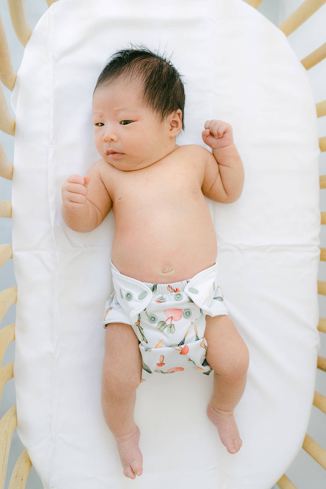 Just Peachy - Wholesale Nappy (cloth) – Baby - Cloth Diapers Nature Collection Single Set -Farmer's Market6