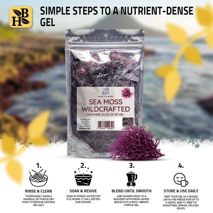 Herb To Body - Wholesale Herbs - Wildcrafted Purple Sea Moss from Caribbean - Food & Topical2