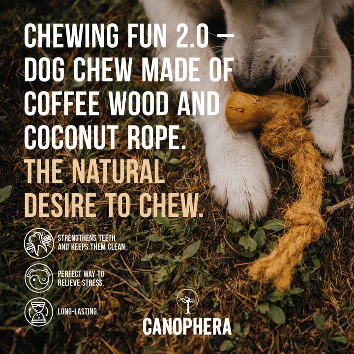 CANOPHERA LLC - Wholesale Pet Chew Toy - Dog - Shelf Display Coffee & Coco Wood Dog Chew 16-piece.