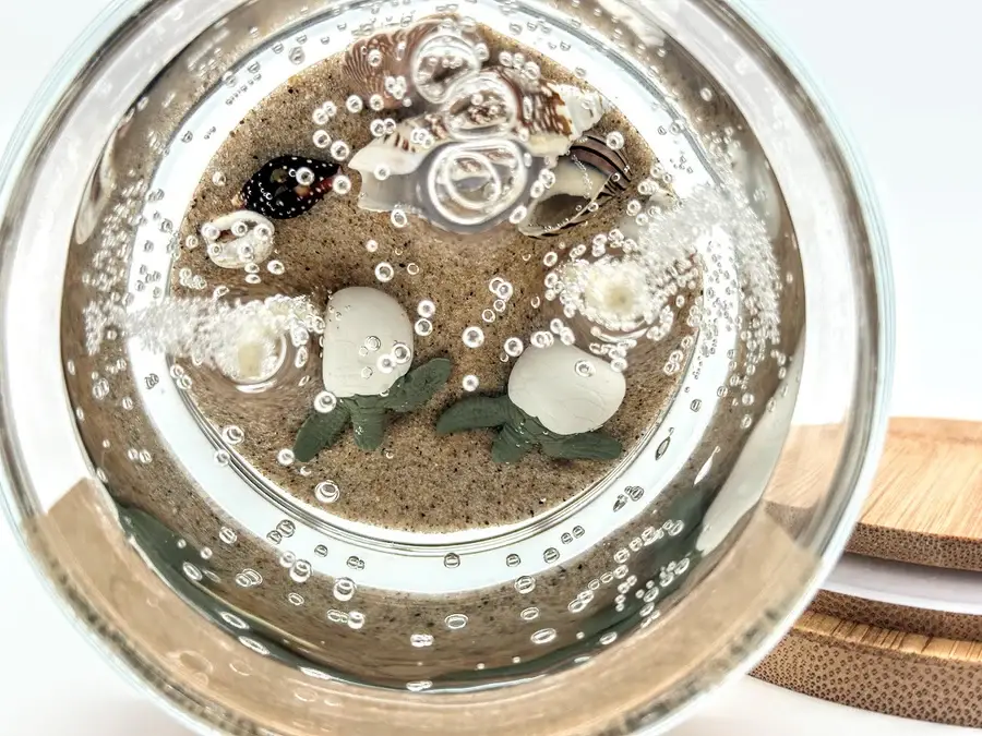 Devonian Coast - Wholesale Novelty Candle - Sea Turtle Hatchling Gel Candle – Large 8oz Wax2