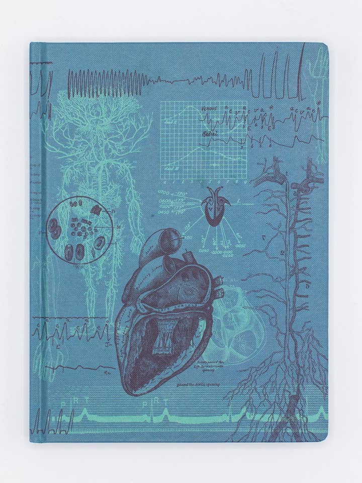 Cardiologie Couverture rigide - Cahier à pages lignées/grillées (Lot de 6) pour la vente par Cognitive Surplus