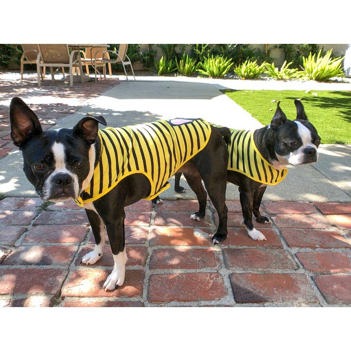Frenchiestore - Wholesale Pet Shirt - Dog - Frenchie Shirt | Black French Bulldog in Bumblebee2