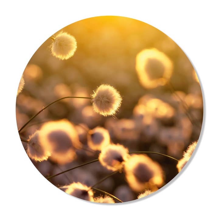 GM decoratie - Wholesale Wall Accent - Cotton Wall Circle