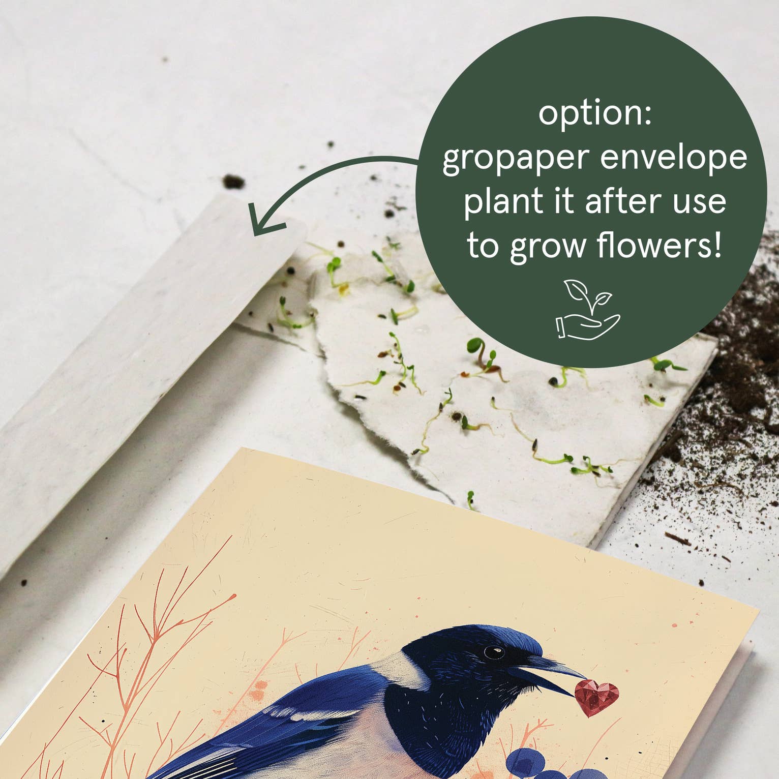 Botanopia - gifts , decor and cards for plant lovers - Wholesale Everyday Greeting Card - My Precious Treasure | Love Card | Friendship card7