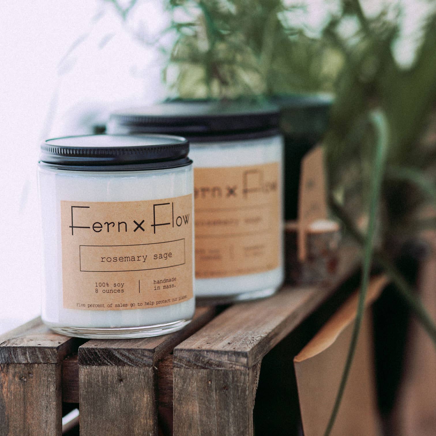 Fern x Flow Soy Candles + Home Fragrance - Wholesale Jar/Filled Candle - Rosemary Sage Farmhouse Year Round Glass Soy Candle - 8oz2
