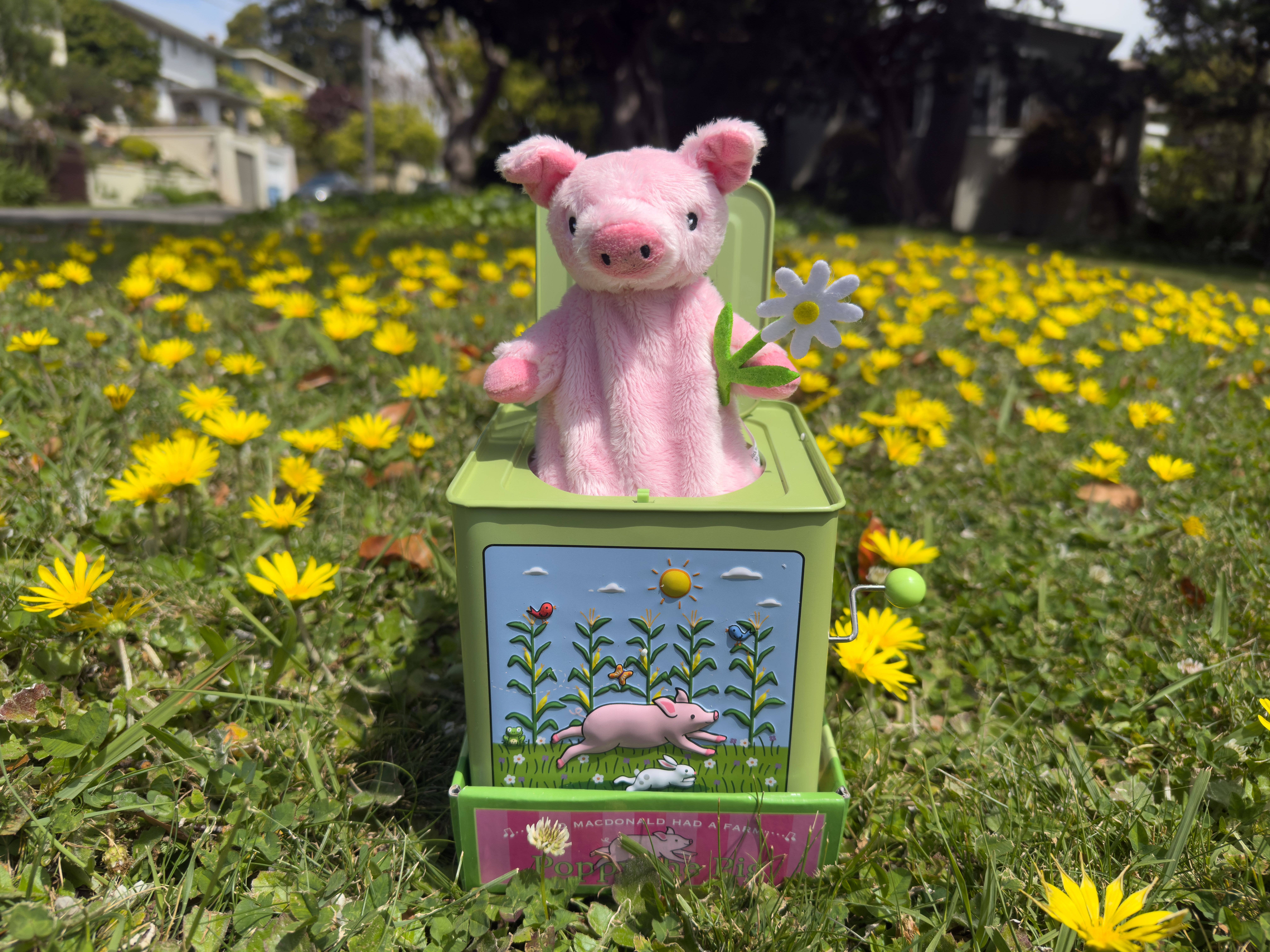 Jack Rabbit Creations - Wholesale Toy Set - Kids - Poppy the Pig Jack in the Box2