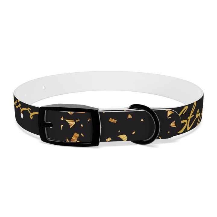 Strong & Fearless Pet Collar for wholesale by Off the Canvas Collection, LLC