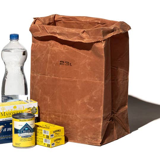 Puebco - Wholesale Grocery/Shopping Bag - GROCERY BAG 23L BROWN0