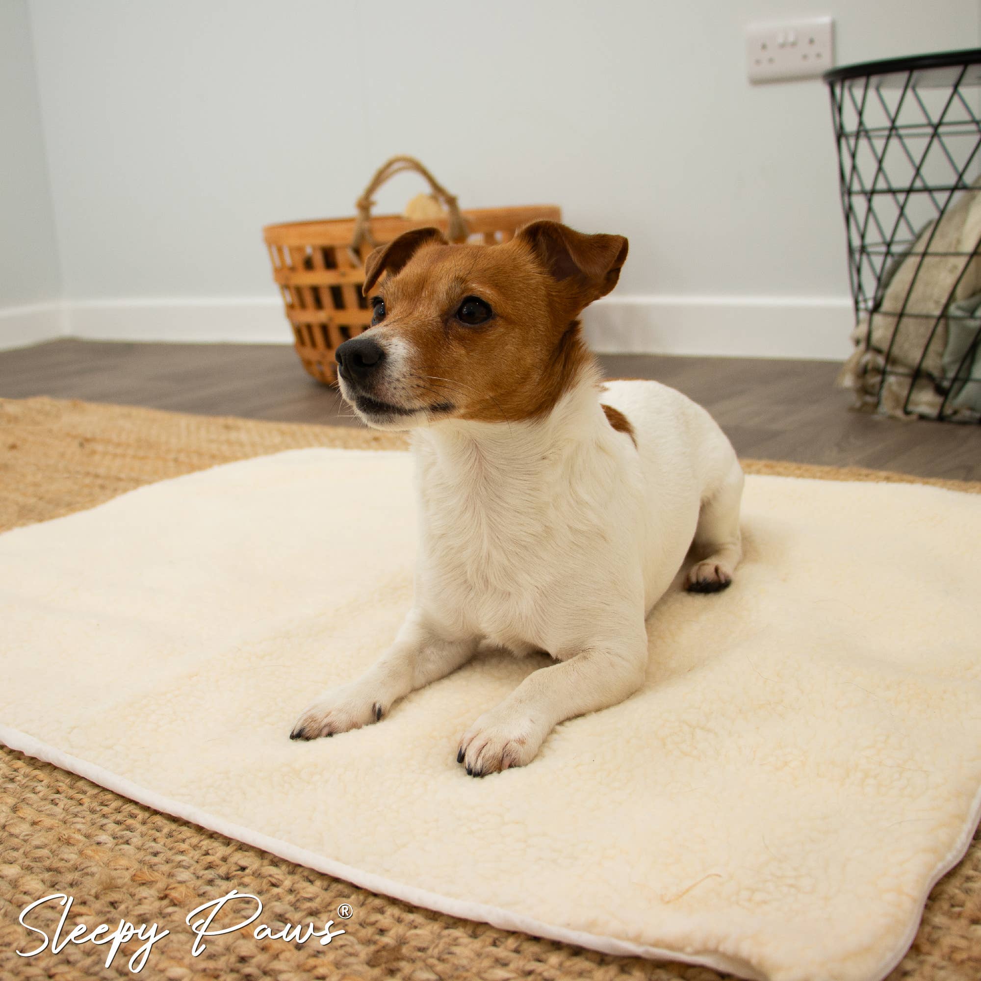 Ancol Pet Products Ltd - Wholesale Bed voor huisdieren- Kat/hond - Zelfverwarmend kussen voor huisdieren in S/M/L2