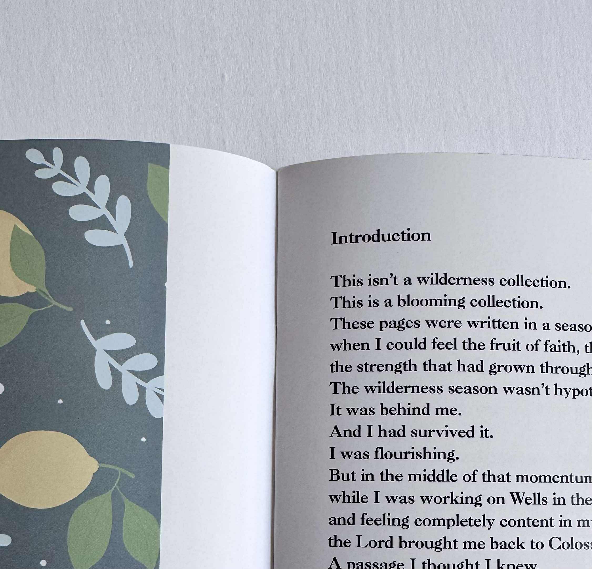 The House of Magsarili - Wholesale Jacket - Women's - **Pre-Order**The Traveler: When Verde Bloomed9