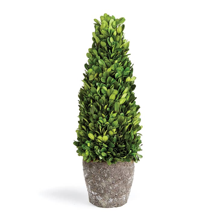 Boxwood Cone Topiary Drop-In 16" for wholesale by Napa Home & Garden