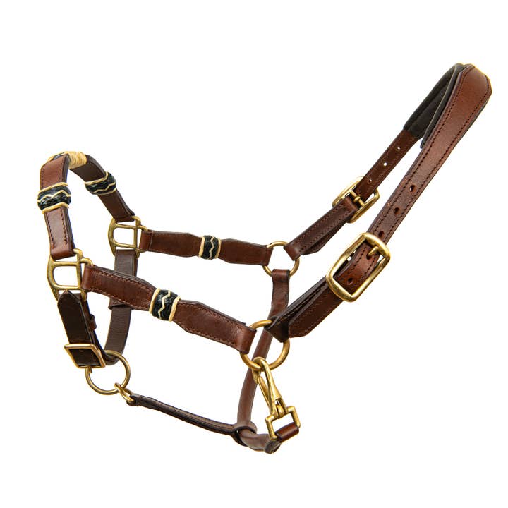 Licou en cuir avec muserolle tressée de qualité supérieure pour la vente par Pro Classic Global