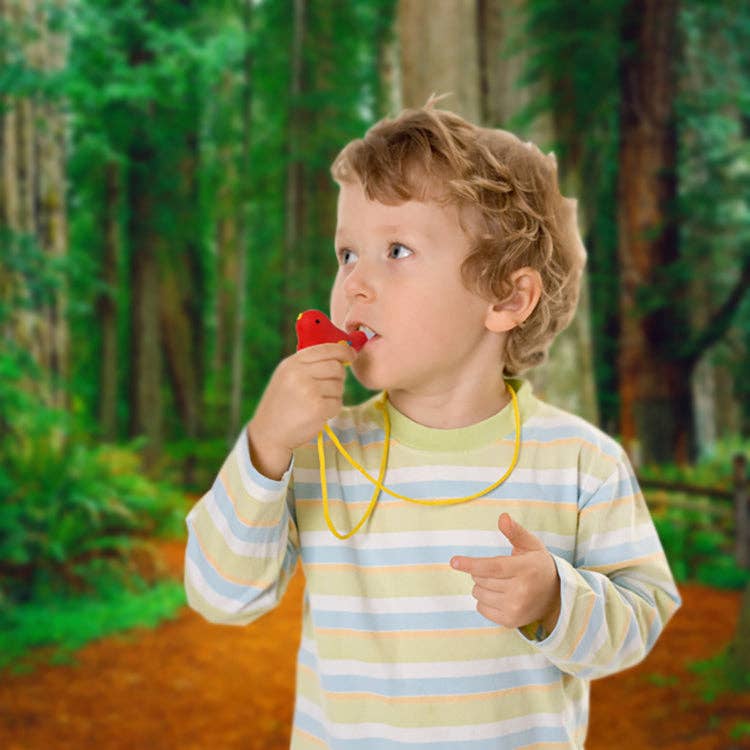 Kikkerland Design Inc - Wholesale Bath Toy - Baby - Bird Whistle2