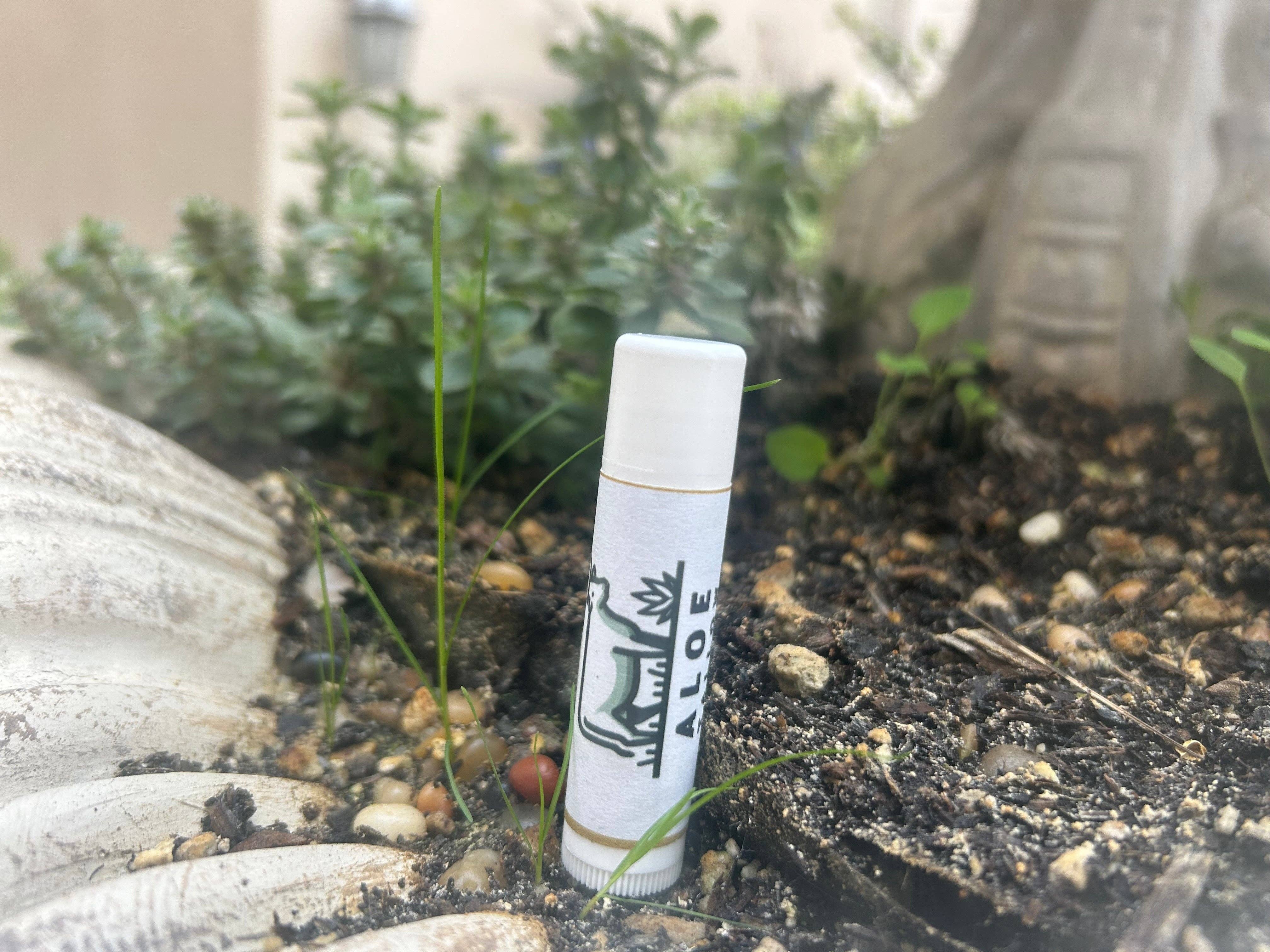 Aloe Tallow - Wholesale Lip Balm - Tallow Lip Balm1