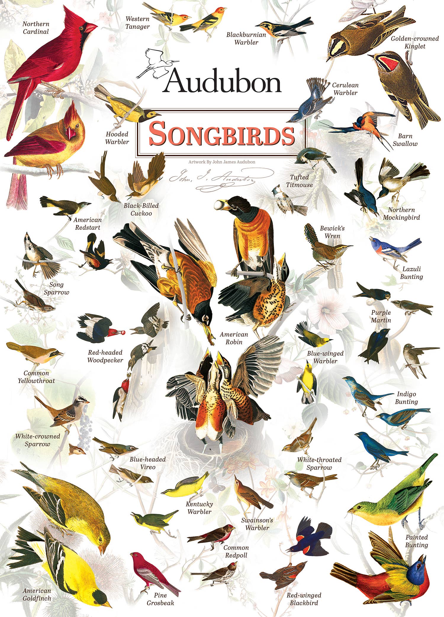 Masterpieces Puzzles - Wholesale Puzzle - Adult - Audubon - Songbirds 1000 Piece Puzzle1