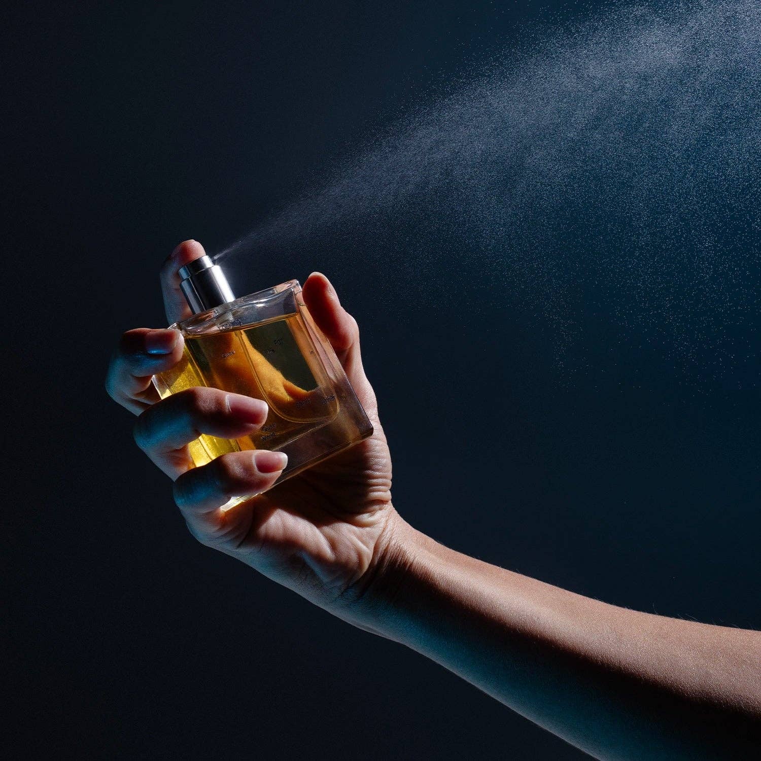 Looking For Each Other - Wholesale Perfume/Eau de Toilette - Quasi Life in the Quasi World4