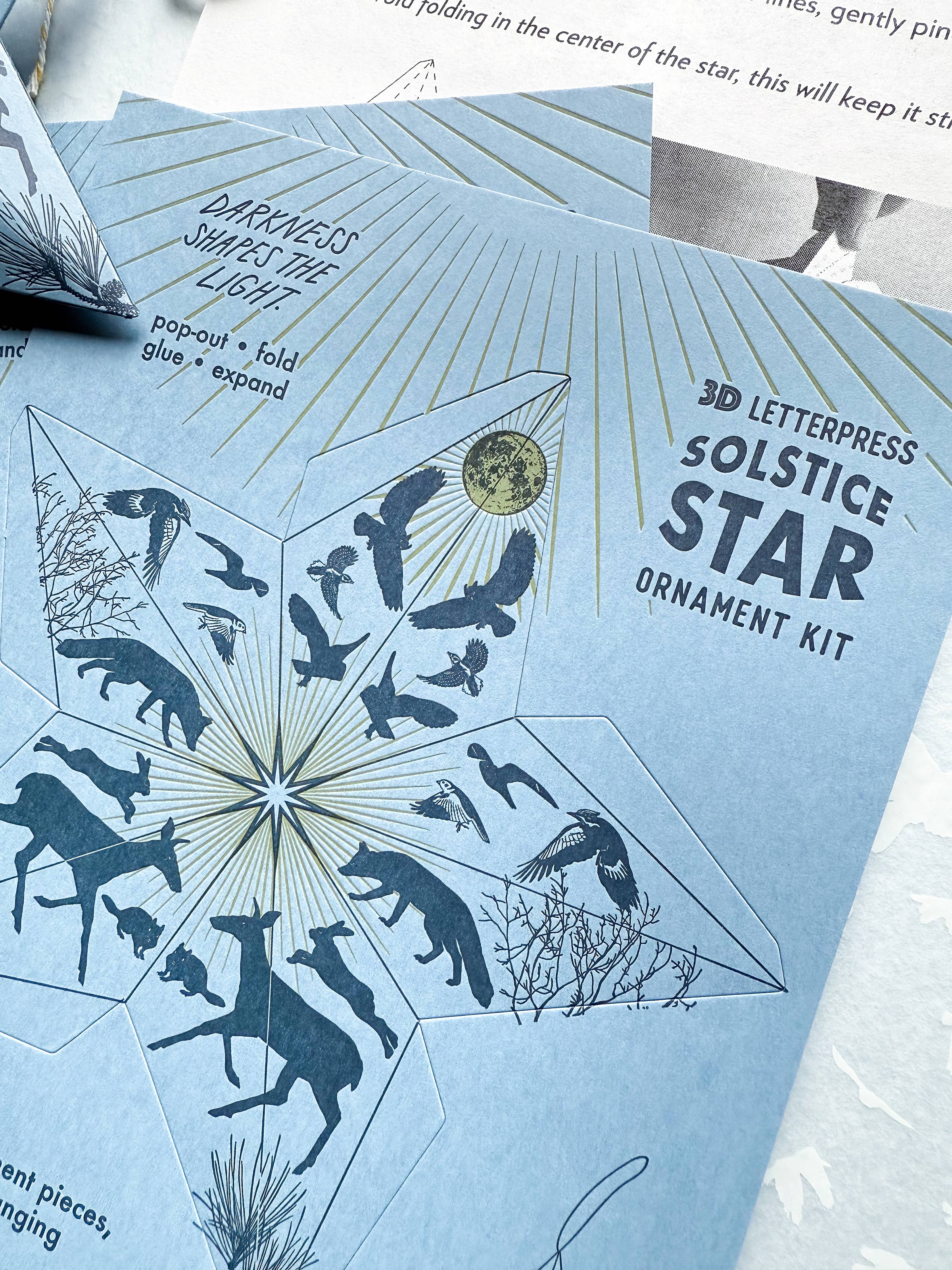 Blackbird Letterpress - Wholesale DIY Craft Kit - Holiday Solstice star DIY ornament kit5