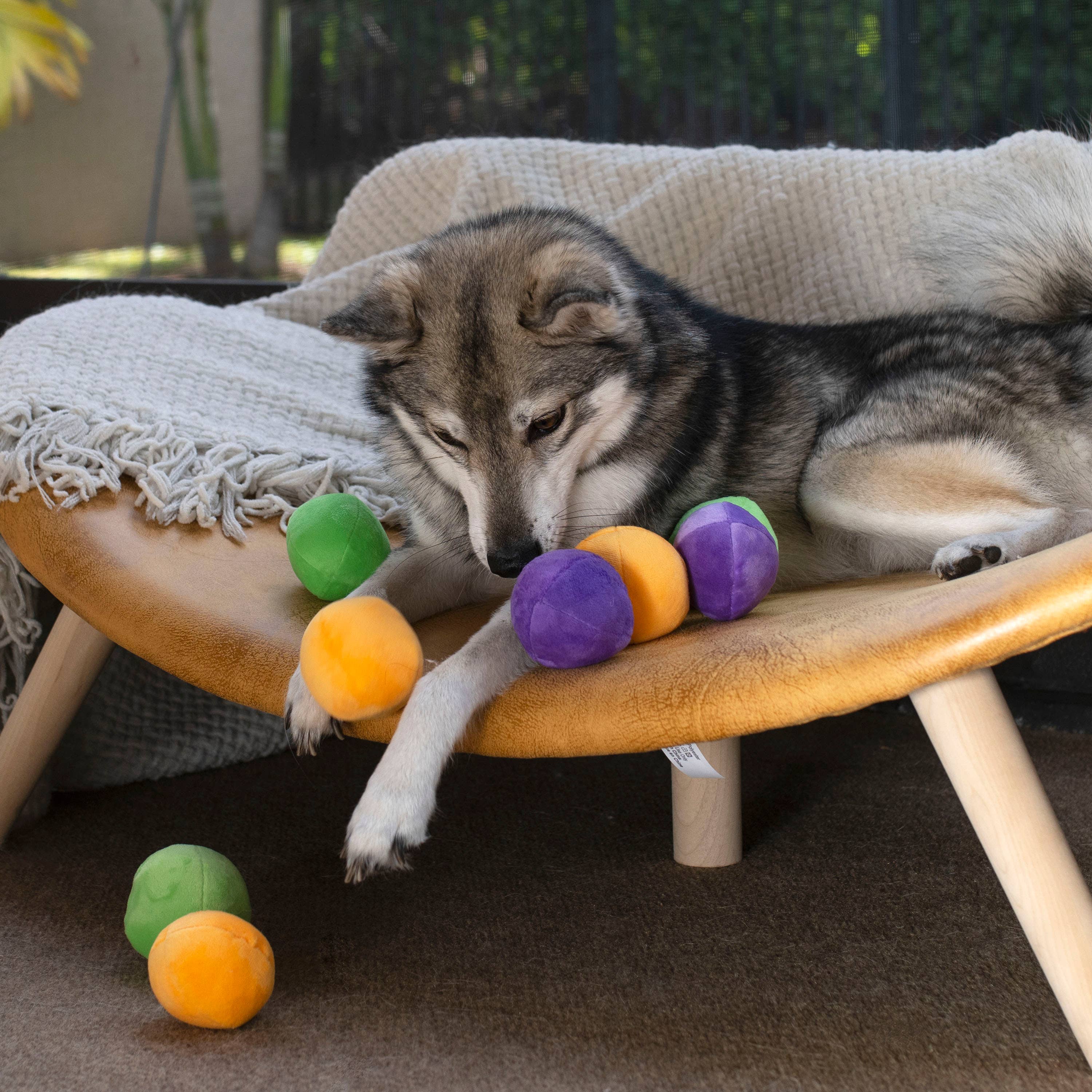 Midlee Designs - Wholesale Speeltje - Hond - Midlee Hide a Ball Dog puzzel speelgoed met pluche pieperballen4