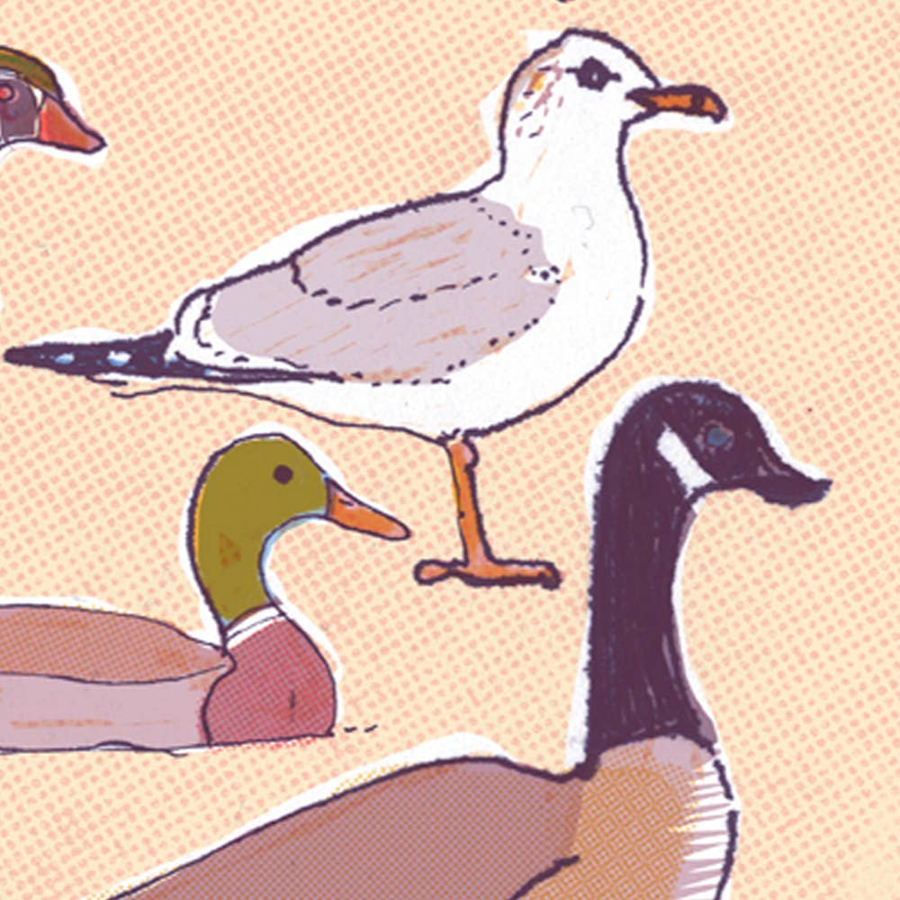 The Culture Curious - Wholesale Postcard - Birds of Washington DC postcard5