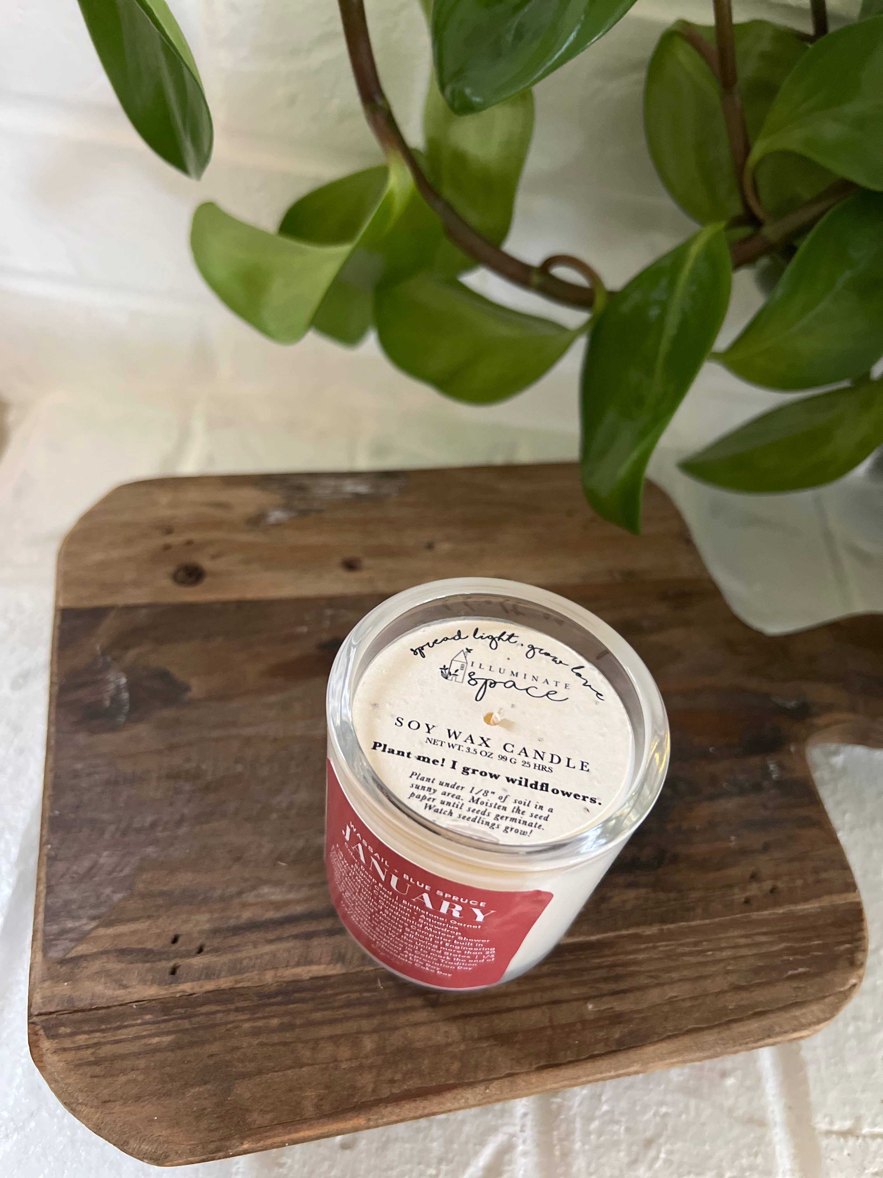 Illuminate Space - Wholesale Jar/Filled Candle - January Birthday Month Candle4