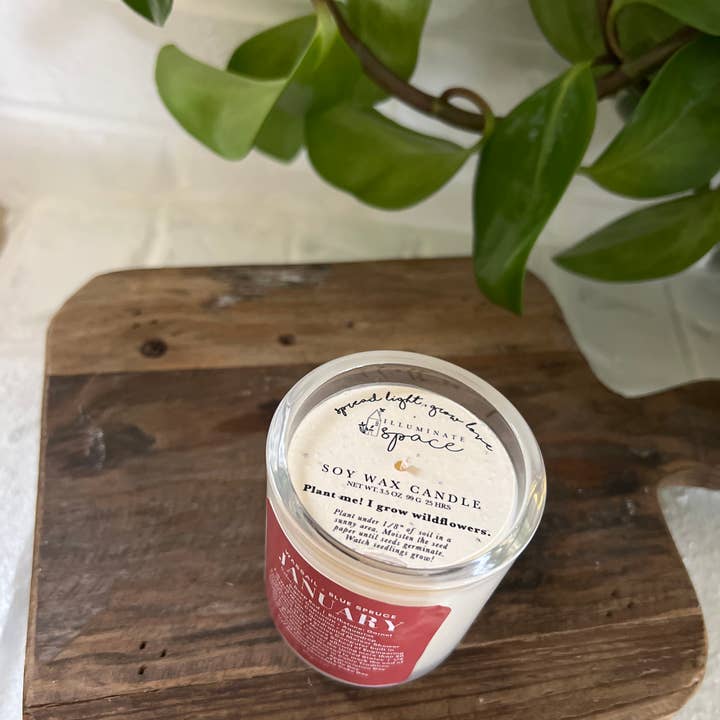 Illuminate Space - Wholesale Jar/Filled Candle - January Birthday Month Candle4