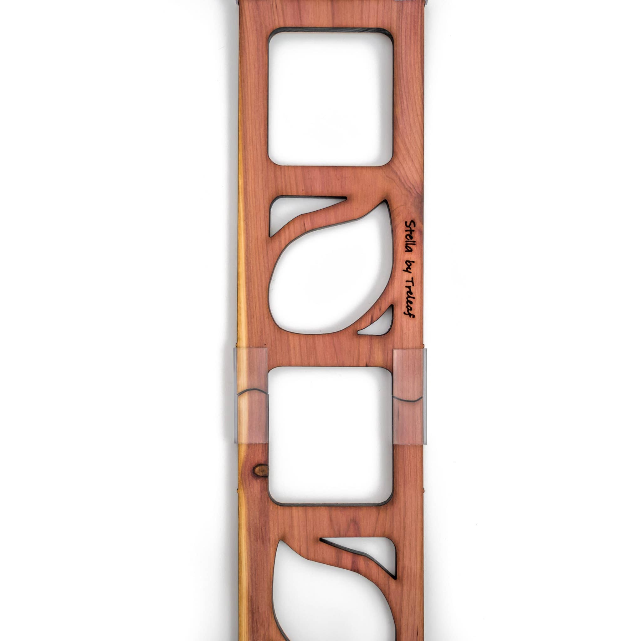 Treleaf - Vendita all'ingrosso Pergole - Stella - Graticcio modulare a scala in legno per piante7