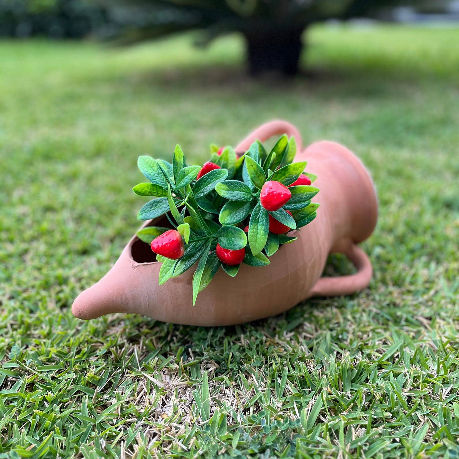 Etnico del Mondo - Wholesale Plant Pot - Engraved Pointed Amphora in Terracotta5