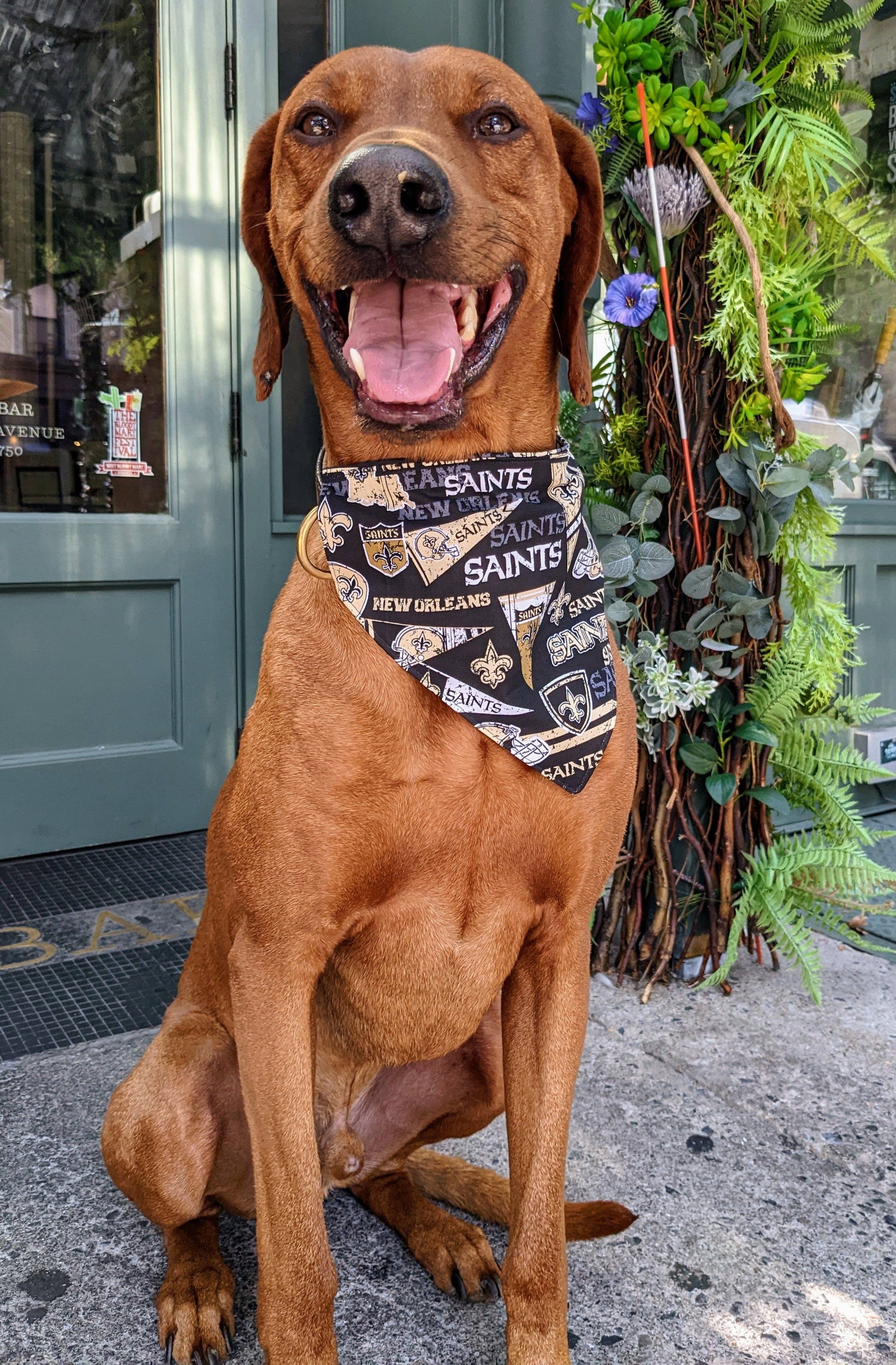 Koa's Ruff Life - Wholesale Pet Bandana - Dog - New Orleans Saints Retro Bandana, Football Collection0