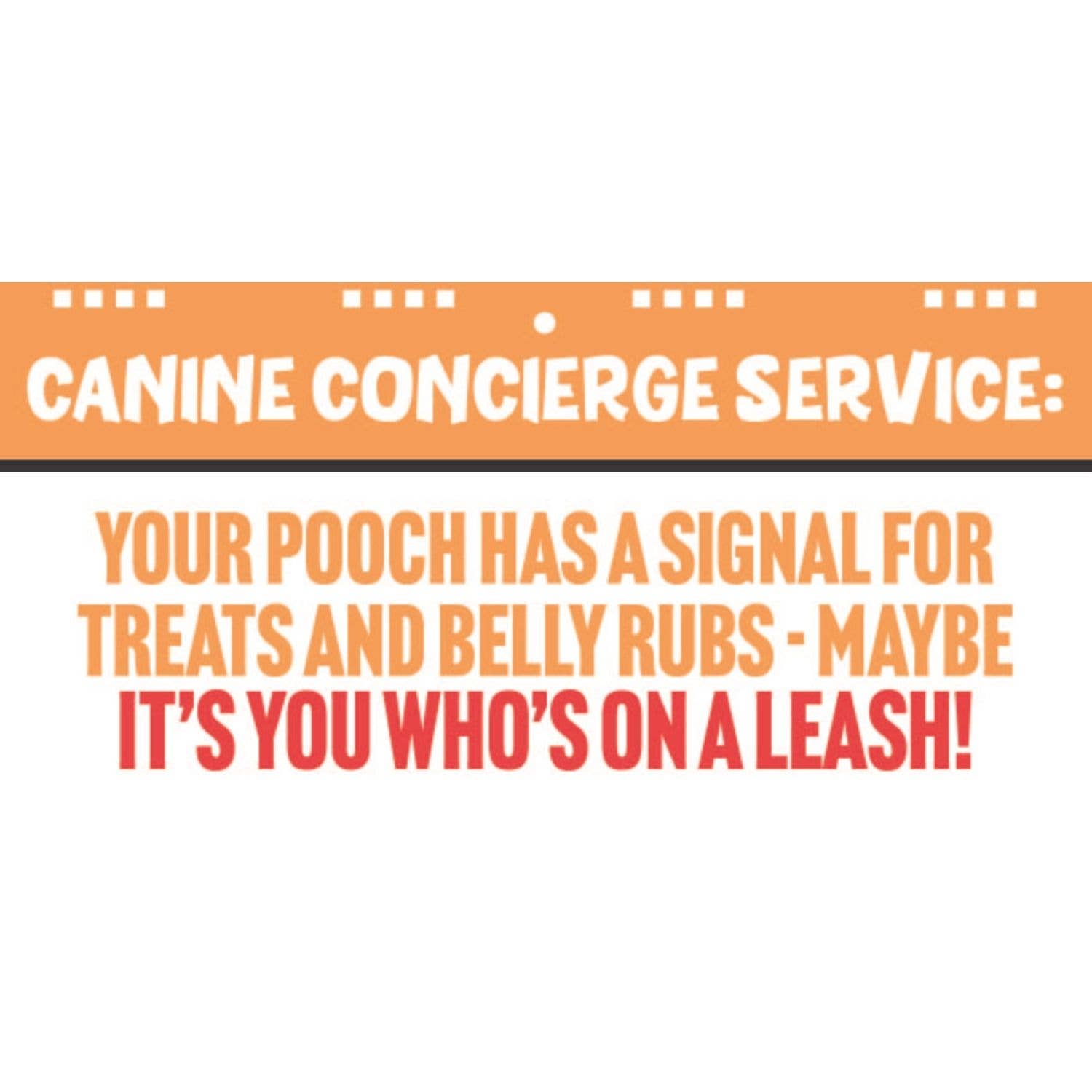 Boxer Gifts - Vente Animaux - 50 façons de gâter votre chien Flip Book - Cadeaux pour chiens1