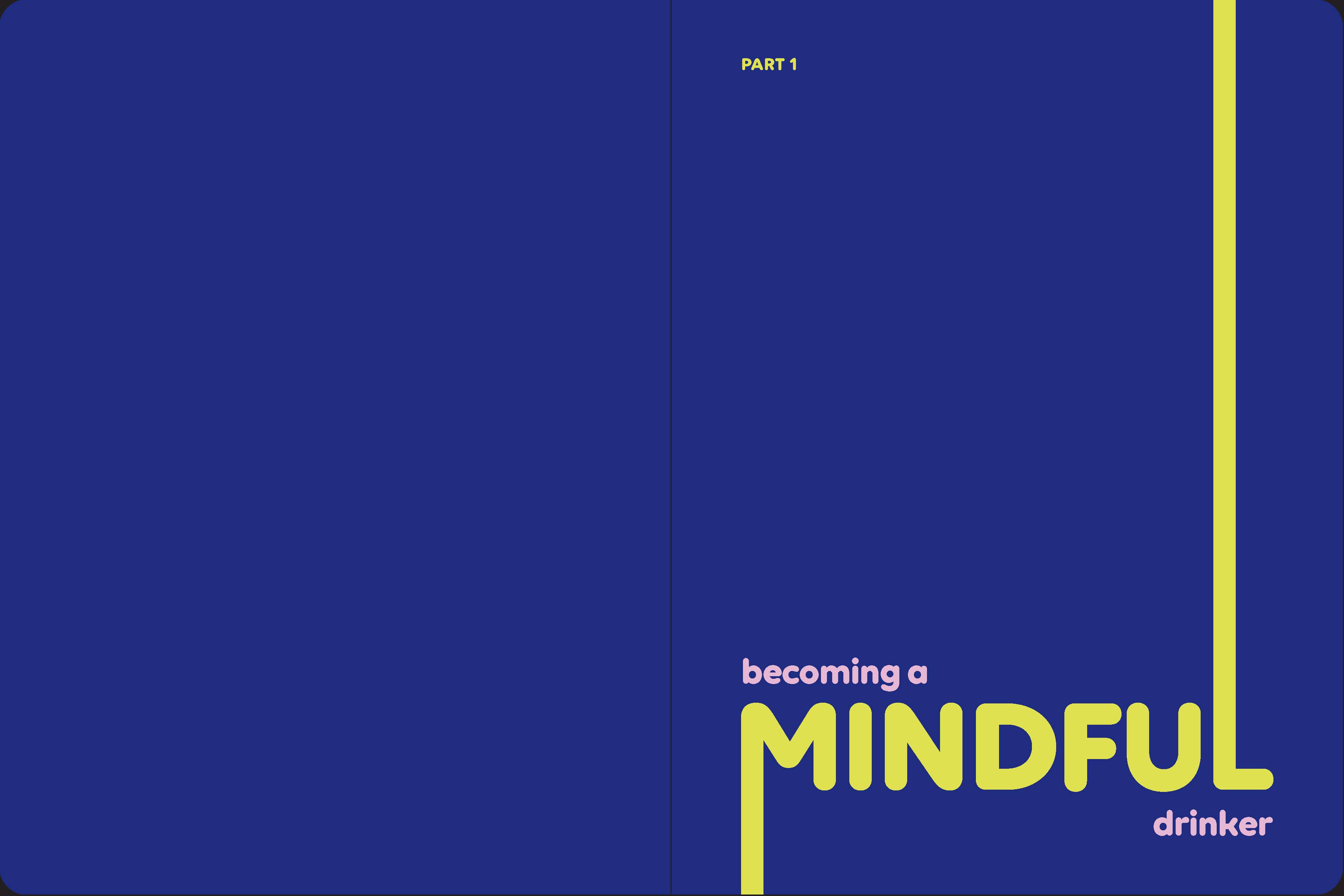 Chronicle Books - Wholesale Journal/Diary - Booze Less5