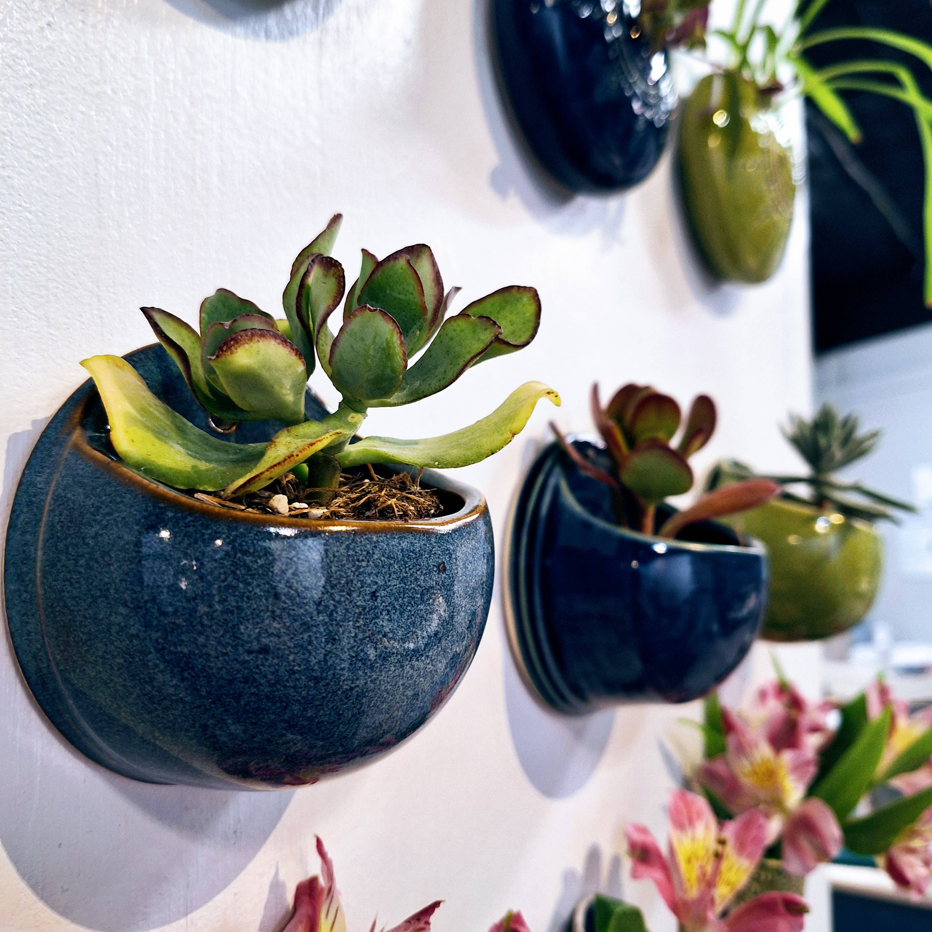 Plays in Mud Pottery - Wholesale Wall Planter - Succulent Wall Planter- Handmade Pottery- Made to Order6